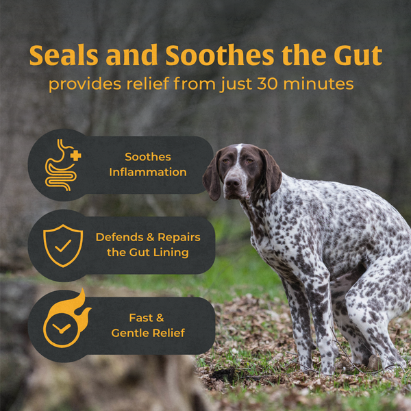 Gut Repair (Diarrhoea Support) for Dogs