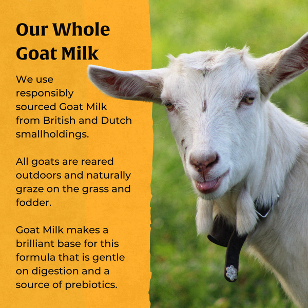 Gut Repair Diarrhoea Support for Dogs