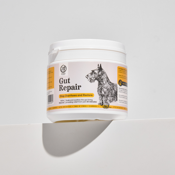 Gut Repair Diarrhoea Support for Dogs