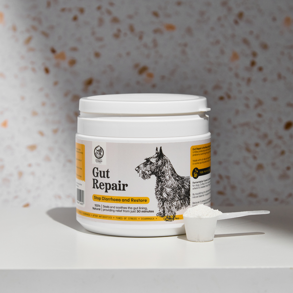 Gut Repair Diarrhoea Support for Dogs