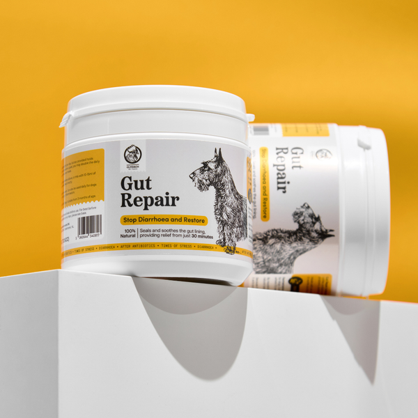 Gut Repair Diarrhoea Support for Dogs