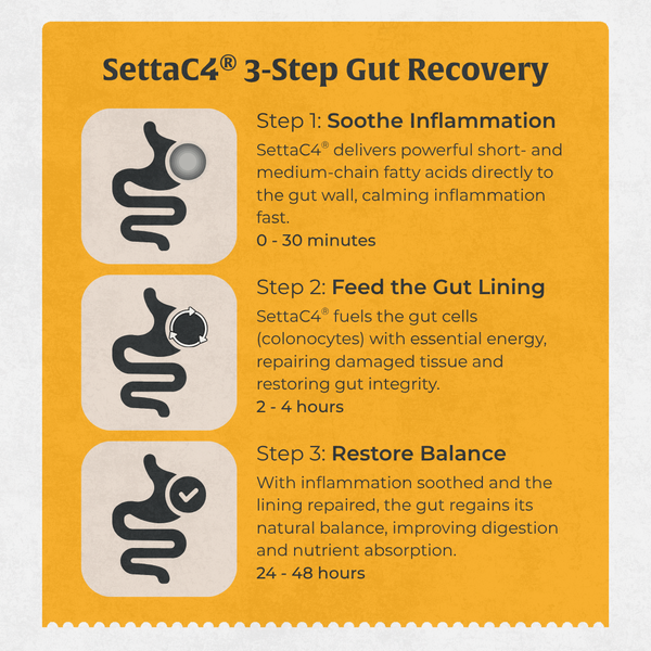 Gut Repair Diarrhoea Support for Dogs