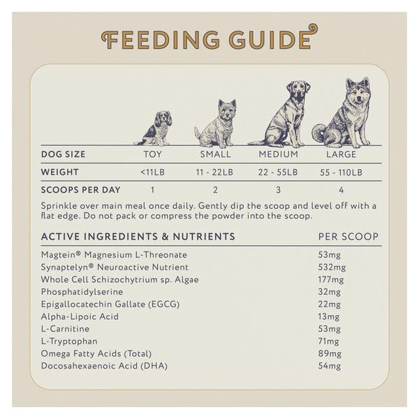 Mindful Years Cognitive Support Supplement for Senior Dogs 250g