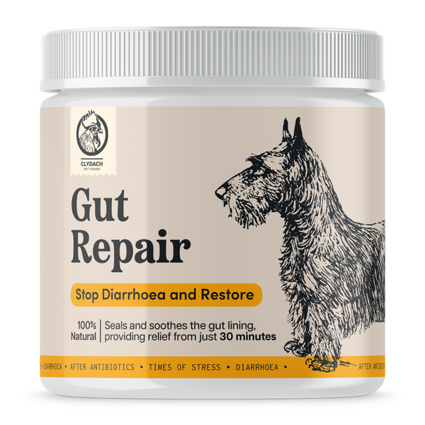 Gut Repair (Diarrhoea Support) for Dogs