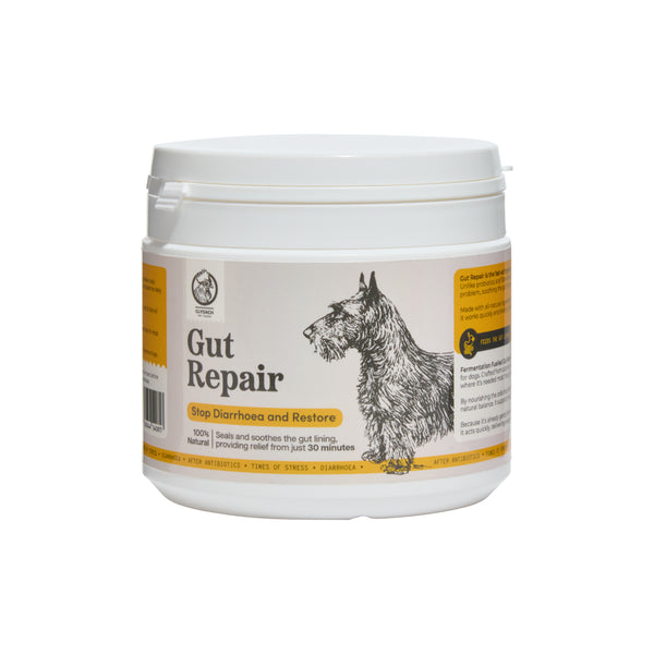 Gut Repair Diarrhoea Support for Dogs