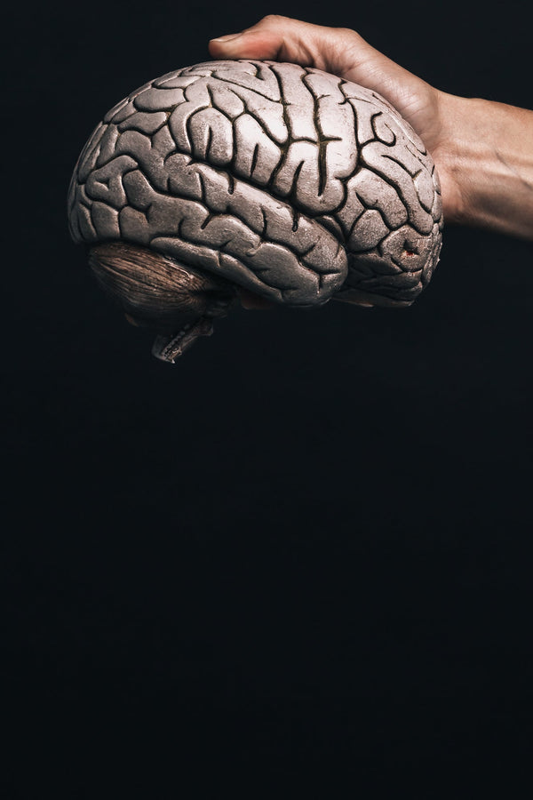 the brain's fuel problem