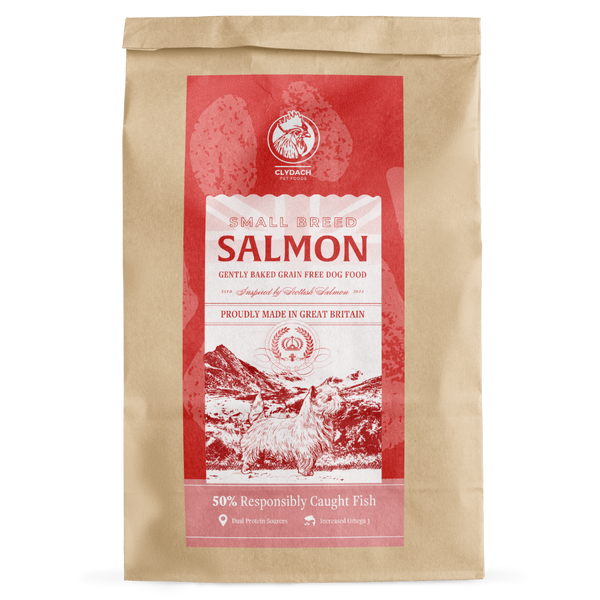 Salmon Small Breed Dry Food
