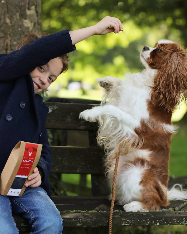 Select Salmon - Dog Treats