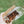 Load image into Gallery viewer, Select Salmon - Dog Treats
