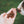 Load image into Gallery viewer, Select Salmon - Dog Treats
